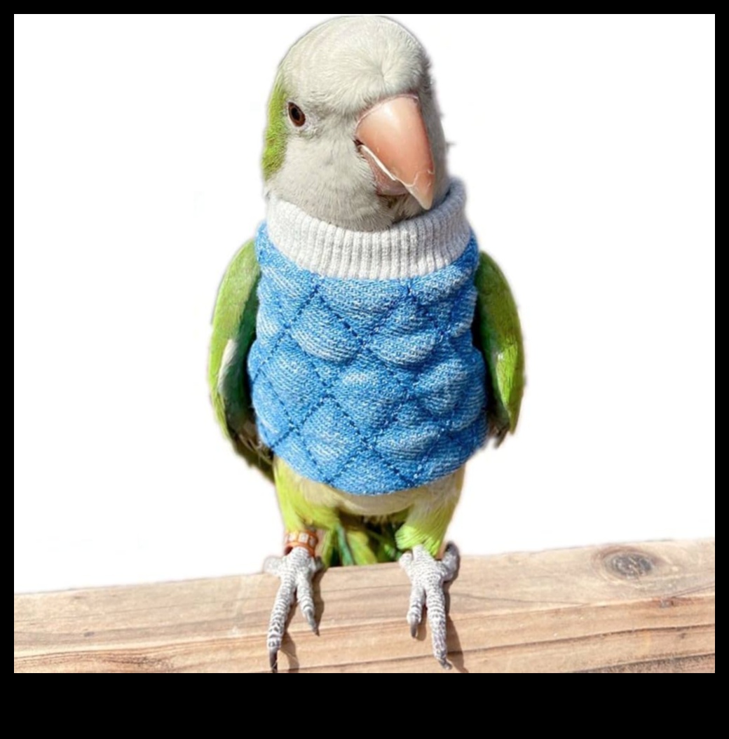 Feathered Friends Fashion Fiesta: Δώστε στυλ στο κατοικίδιο πουλί σας με μοντέρνα αξεσουάρ