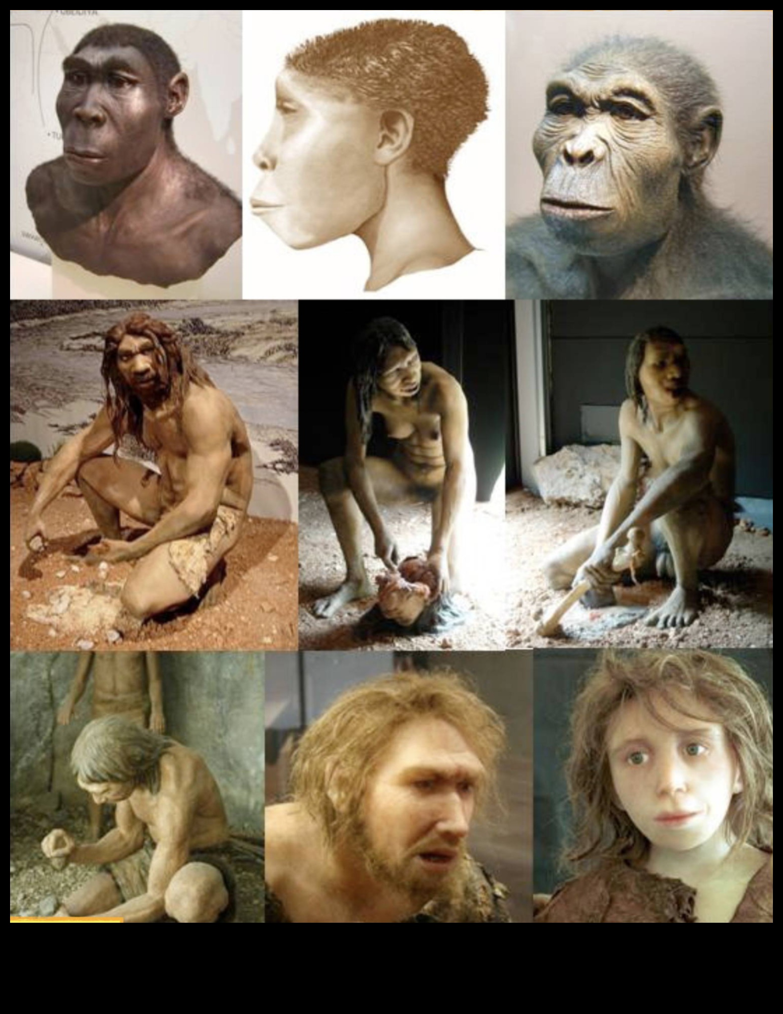 Η ζωή στη πέτρινη εποχή 2 Ταξίδι πίσω στο χρόνο: Κατανόηση των βασικών του παλαιολιθικού τρόπου ζωής