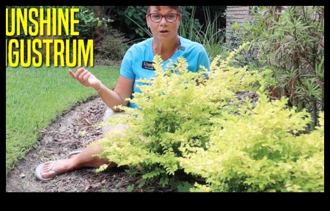 Ολο το χρόνο Radiance Ένας οδηγός για Συνεπή Συντήρηση Κήπου 4 Λάμψη όλο το χρόνο: Ο οδηγός σας για συνεπή συντήρηση κήπου