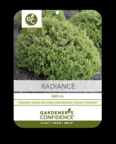 Όλο το χρόνο Radiance Ένας οδηγός για Συνεπή Συντήρηση Κήπου 3 Λάμψη όλο το χρόνο: Ο οδηγός σας για συνεπή συντήρηση κήπου