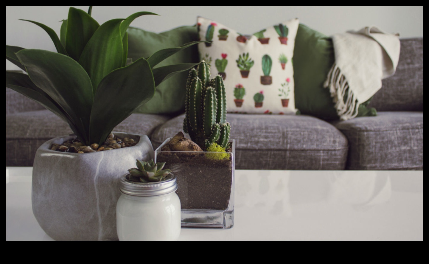 Indoor Oasis: Δημιουργία χώρων πρασίνου μέσα στο σπίτι σας