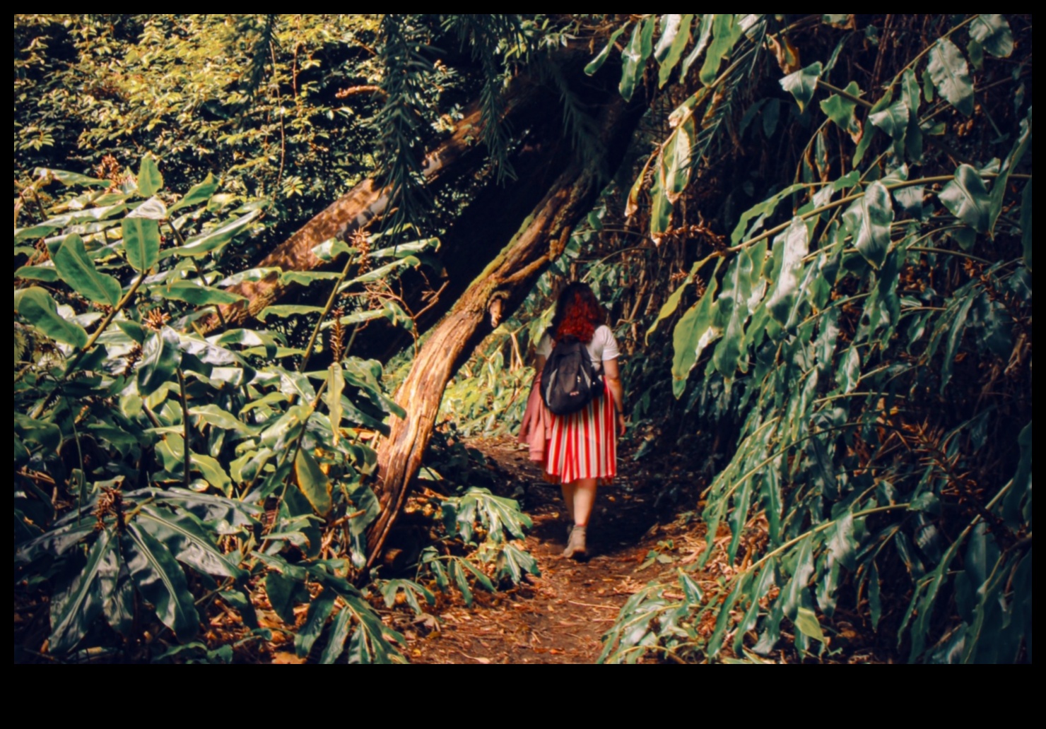 Πέρα από την Αστική Ζούγκλα Εξερευνήστε απομακρυσμένα τοπία στο Hybrid Adventures 4 Beyond the Urban Jungle: Hybrid Adventures in Remote Landscapes