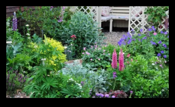 Γοητεία σε κάθε άνθος: Ανυψώστε τον κήπο σας με έντεχνες πινελιές