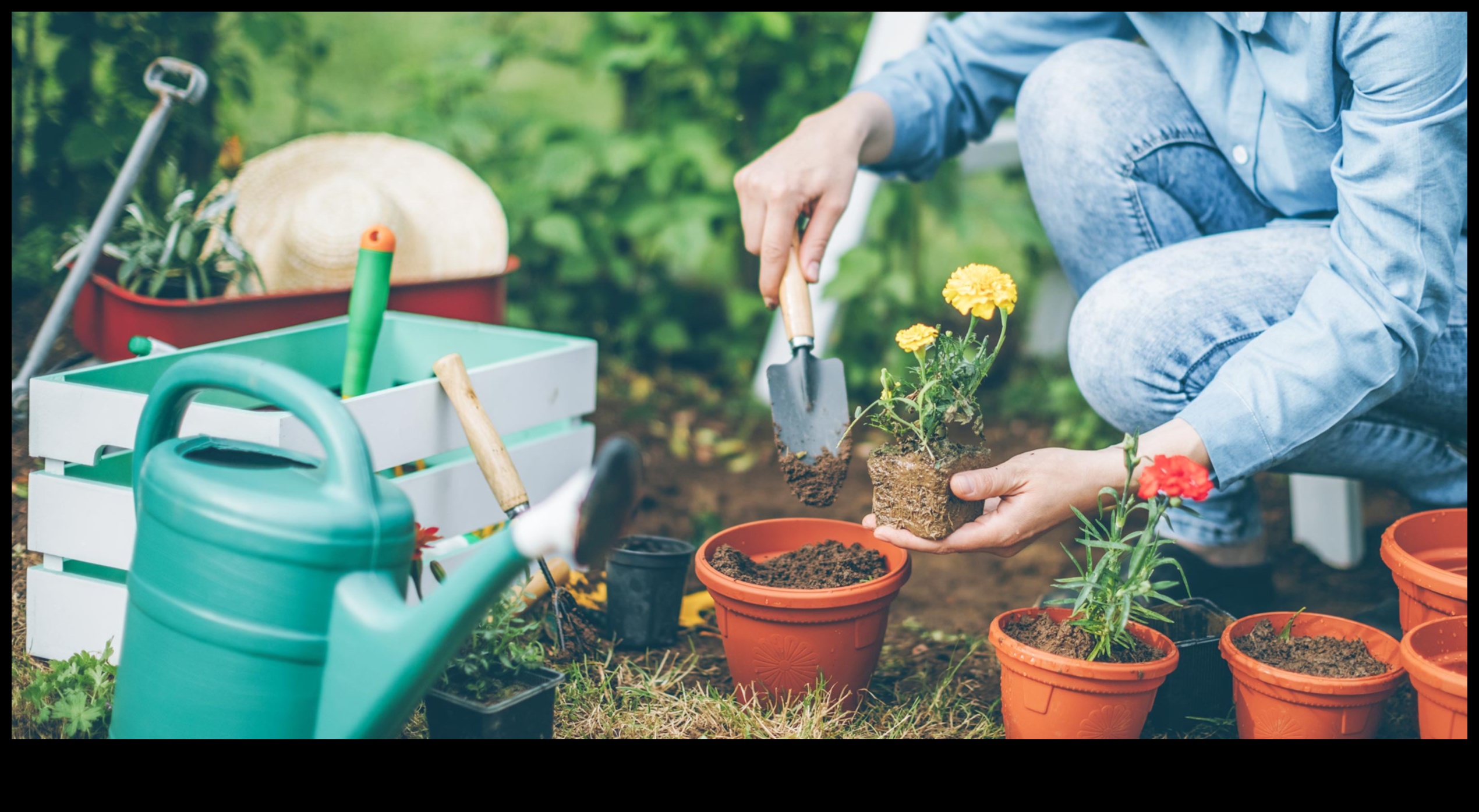 Το Green Magic: Must-Have Garden Tools αποκαλύφθηκαν