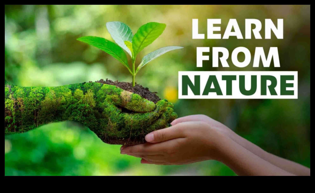 Garden Class Wisdom Lessons from the Natural World for Better Education 2 Garden Class Wisdom: Unlocking the Secrets of Education