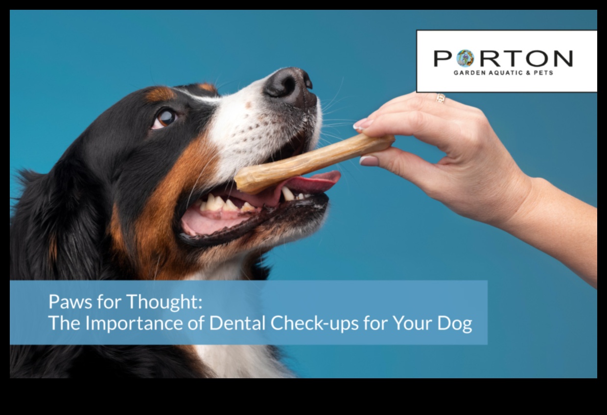 Η οδοντιατρική φροντίδα Doggy συνεχίστηκε Η σημασία των τακτικών ελέγχων 2 Doggy Dental Care Συνέχεια: Η σημασία των τακτικών ελέγχων