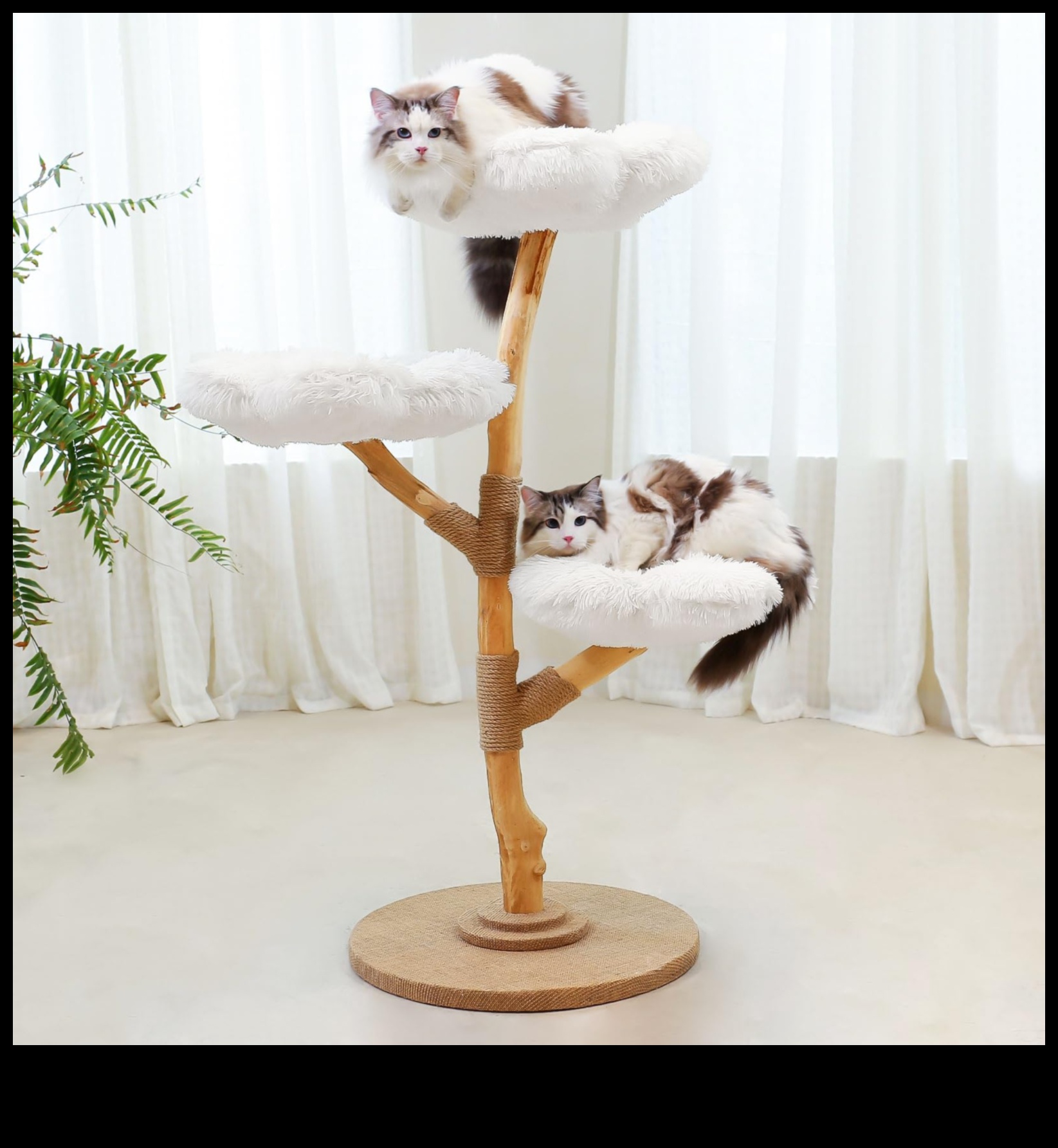 Cat Condo Crafting Συνέχεια: Προσθήκη άνετων γωνιών