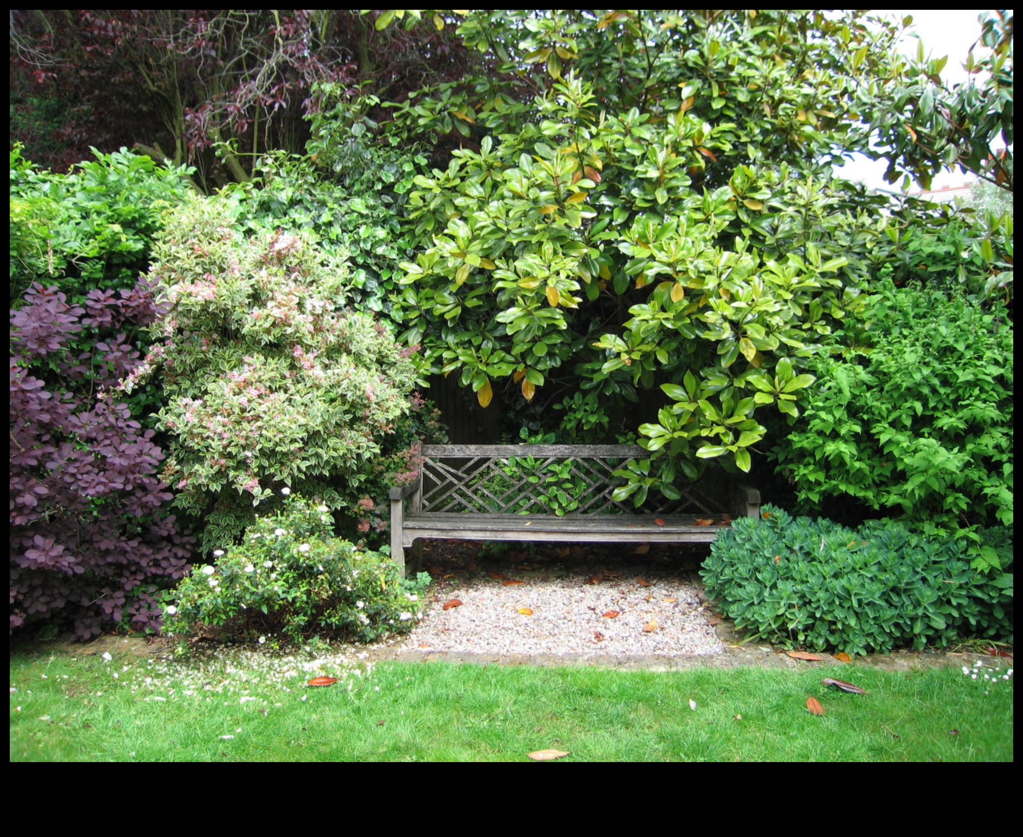 Tiny Terraces, Abundant Blooms: Urban Gardening Bliss