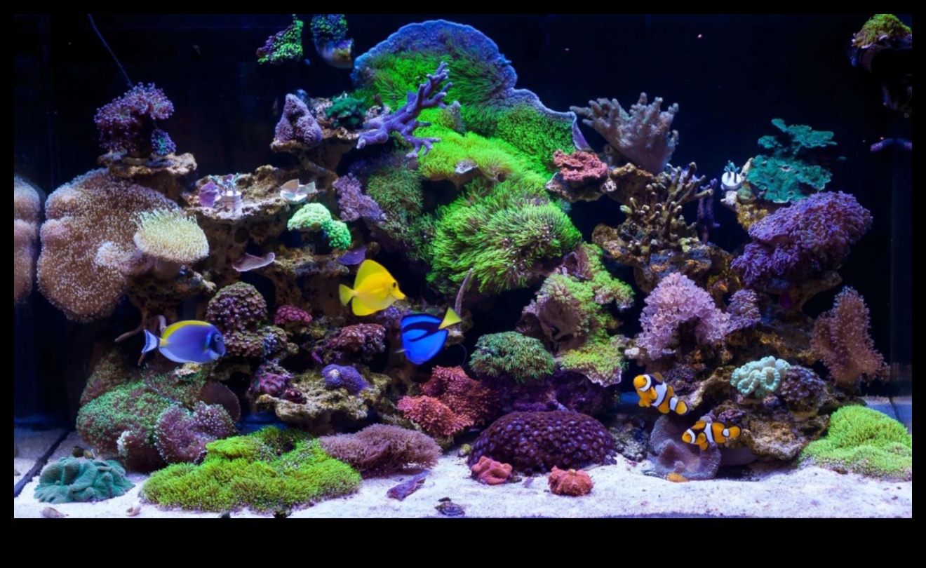 Fish Tank DIY Continued Crafting Μαγευτικά Υποβρύχια Τοπία 3 Fish Tank DIY Continue: Δημιουργία μαγευτικών υποβρύχιων τοπίων