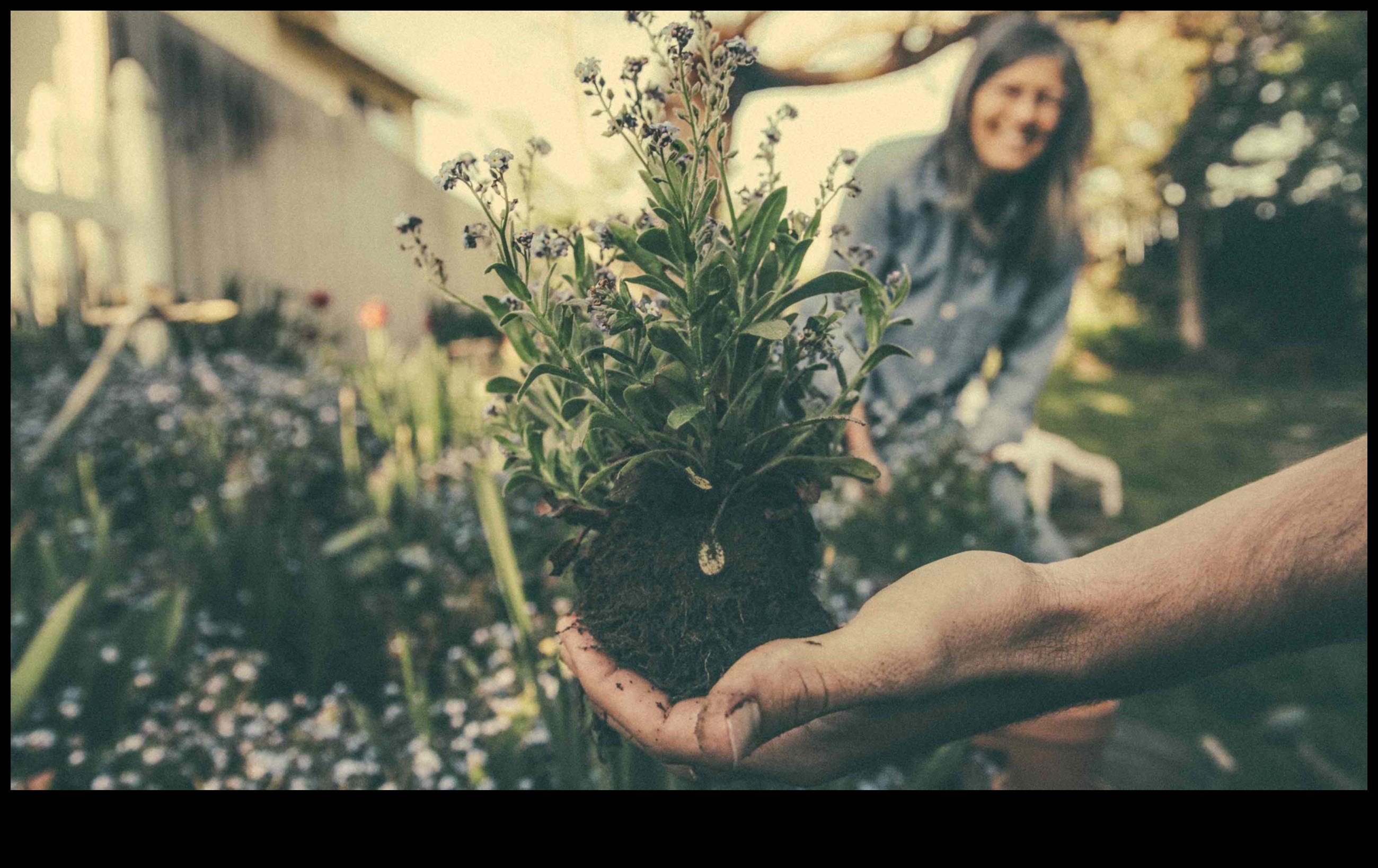 Battles in Bloom Πώς να υπερασπιστείτε τον κήπο σας από τα παράσιτα 3 Battles in Bloom: Defending Your Garden from Pests