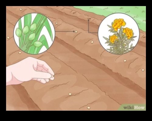 Battles in Bloom Πώς να υπερασπιστείτε τον κήπο σας από τα παράσιτα 4 Battles in Bloom: Defending Your Garden from Pests