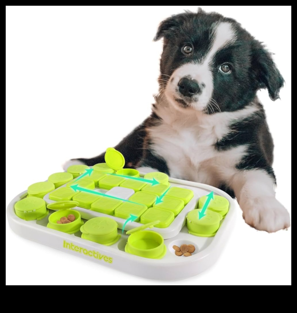 Paw-some Puzzles Mental Stimulation για σκύλους και γάτες 4 Paw-some Puzzles: Mental Stimulation for Dogs and Cats