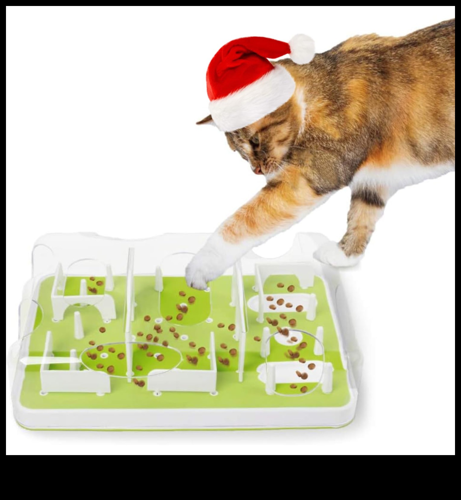 Paw-some Puzzles Mental Stimulation για σκύλους και γάτες 5 Paw-some Puzzles: Mental Stimulation for Dogs and Cats