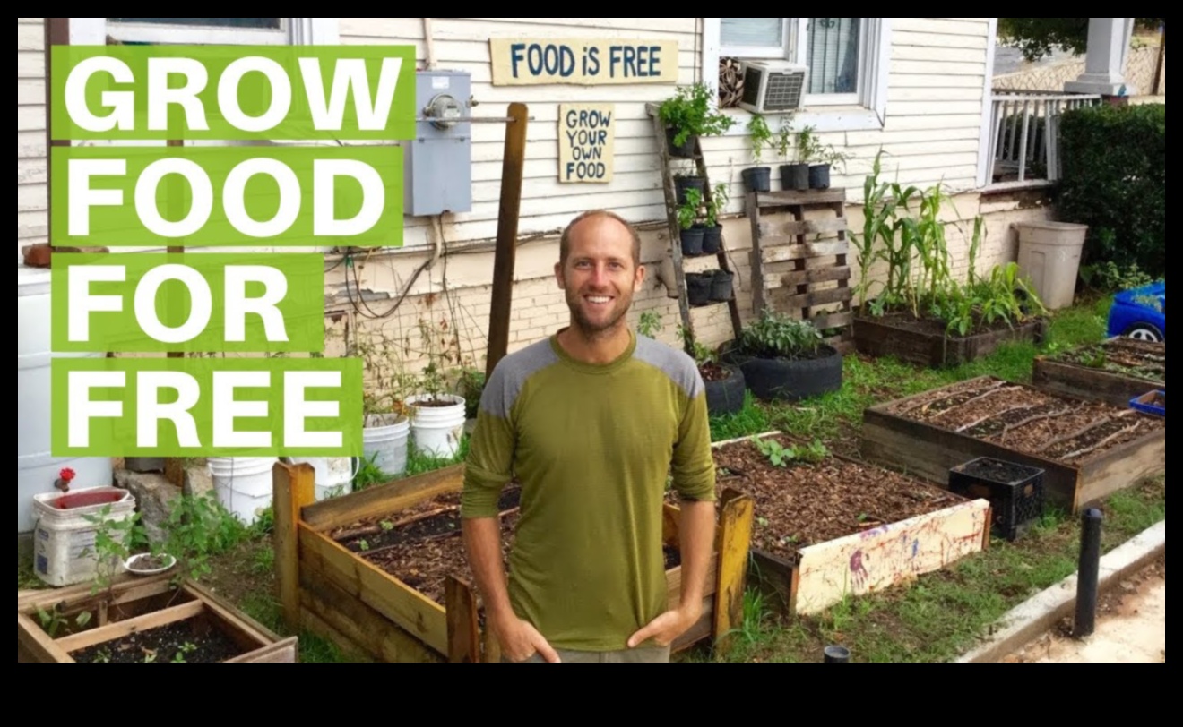 Καλλιεργήστε το δικό σας φαγητό στην πόλη με το Metropolitan Green Thumb's Urban Gardening Hacks 2 Metropolitan Green Thumb: Urban Gardening Hacks