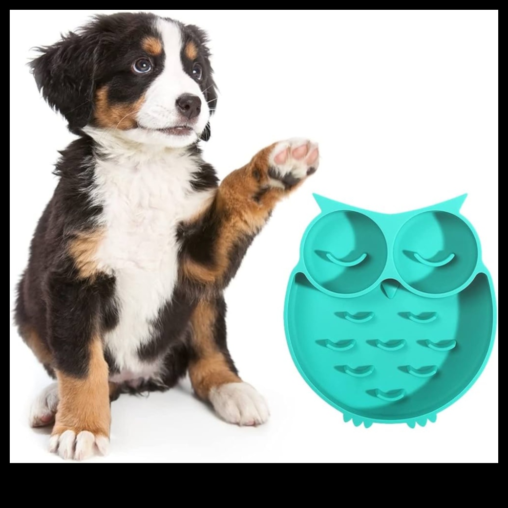 Ενσυνείδητες ώρες γευμάτων: Ενθάρρυνση της αργής σίτισης για σκύλους και γάτες