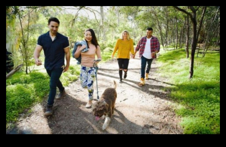 Μια βόλτα στο πάρκο εξερευνώντας υπαίθριες περιπέτειες με τον σκύλο σας 2 A Walk in the Park: Exploring Outdoor Adventures with Your Dog