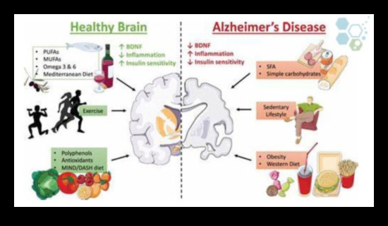 Δίαιτα χαμηλών υδατανθράκων Ενίσχυση της υγείας του εγκεφάλου 2 Τα οφέλη της δίαιτας χαμηλών υδατανθράκων για την υγεία του εγκεφάλου