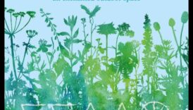 Enchanted Outdoors: Ανακαλύψτε τη γοητεία της διακόσμησης κήπου