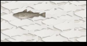 Fishonomics 101: Πώς τα ψάρια συμβάλλουν στα οικοσυστήματα