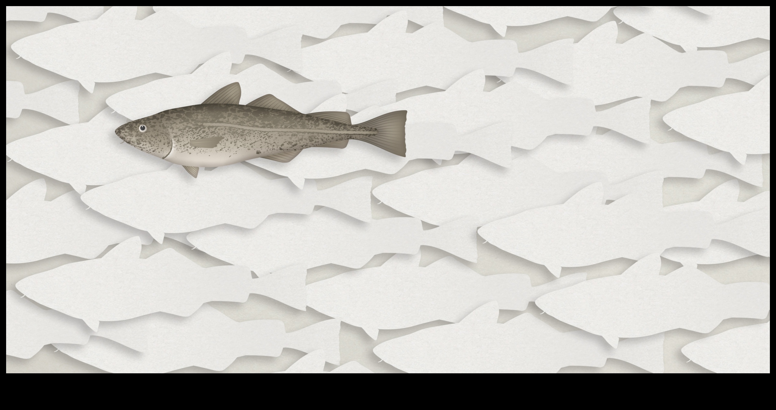 Fishonomics 101: Πώς τα ψάρια συμβάλλουν στα οικοσυστήματα