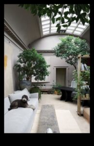 Indoor Oasis: Δημιουργία χώρων πρασίνου μέσα στο σπίτι σας