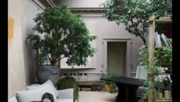 Indoor Oasis: Δημιουργία χώρων πρασίνου μέσα στο σπίτι σας