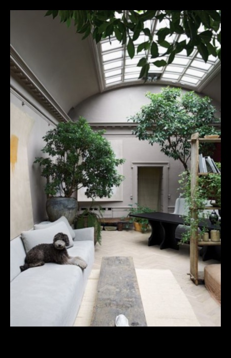 Indoor Oasis: Δημιουργία χώρων πρασίνου μέσα στο σπίτι σας