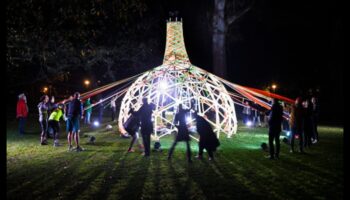 Local Luminescence: Shining a Light on Nearby Marvels