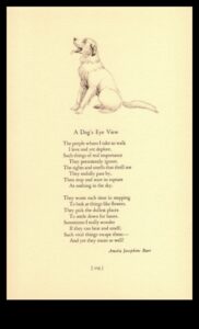 Paw-Printed Poetry: A Collection of Odes to Dogs