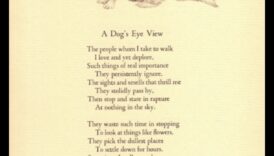 Paw-Printed Poetry: A Collection of Odes to Dogs