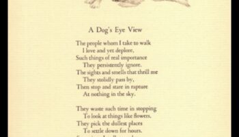 Paw-Printed Poetry: A Collection of Odes to Dogs