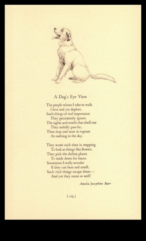 Paw-Printed Poetry: A Collection of Odes to Dogs