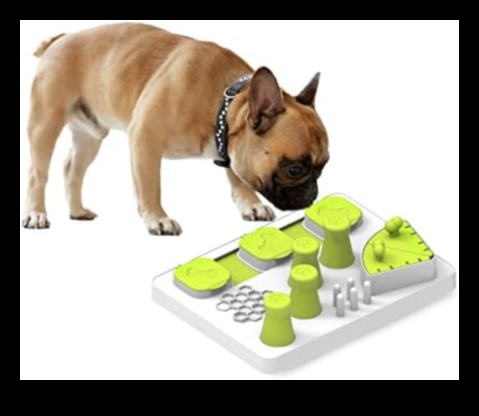 Paw-some Puzzles Mental Stimulation για σκύλους και γάτες 3 Paw-some Puzzles: Mental Stimulation for Dogs and Cats
