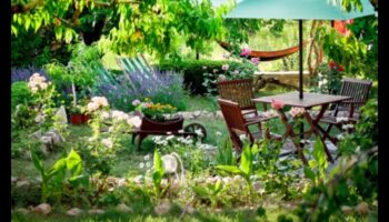 Γλυπτική ευδαιμονία: Βυθίζοντας την ηρεμία στην εξωτερική σας όαση