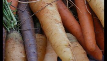 Veganism and Mindful Eating: Savoring the Moment