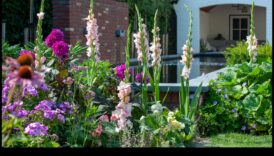 Έλξη προκάλεσε κάθε άνθος 5 τακτικές για οραθείτε να ανυψώσετε τον κήπο σας με έντεχνες πινελιές 5 Γοητεία σε κάθε άνθος: Ανυψώστε τον κήπο σας με έντεχνες πινελιές