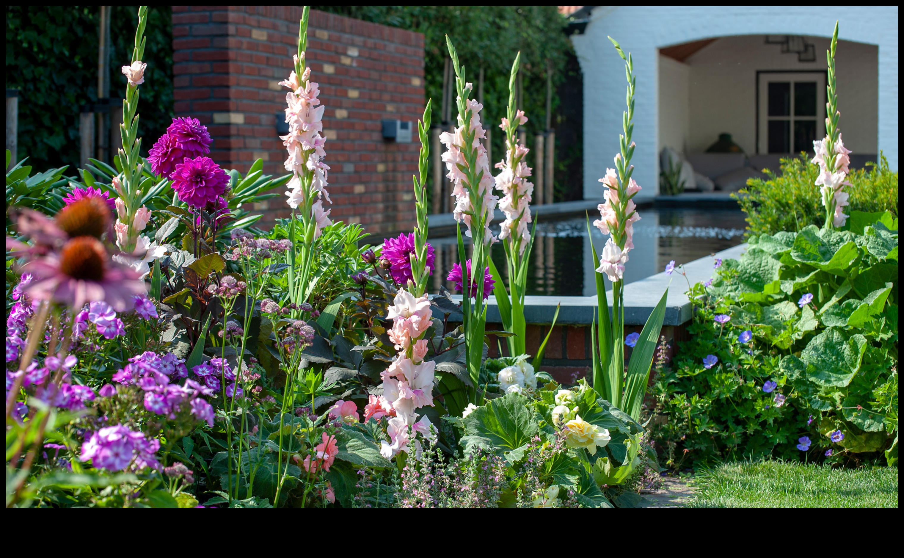 Γοητεία σε κάθε άνθος: Ανυψώστε τον κήπο σας με έντεχνες πινελιές