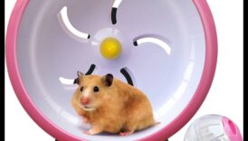 Πιθανές επιλογές τροχού χάμστερ Συνεχίζονται αθόρυβες και άνετες πιθανές επιλογές 4 Επιλογές τροχού χάμστερ Συνέχεια: Αθόρυβες και άνετες επιλογές