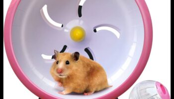 Επιλογές τροχού χάμστερ Συνέχεια: Αθόρυβες και άνετες επιλογές