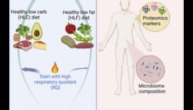 Η μακροχρόνια και η σύντομη ορμονική σταθερότητα στις μακροχρόνιες δίαιτες 6 Μακροχρόνιες δίαιτες και ορμονική ισορροπία: Διαχωρίζοντας το γεγονός από τη φαντασία