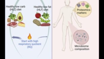 Μακροχρόνιες δίαιτες και ορμονική ισορροπία: Διαχωρίζοντας το γεγονός από τη φαντασία