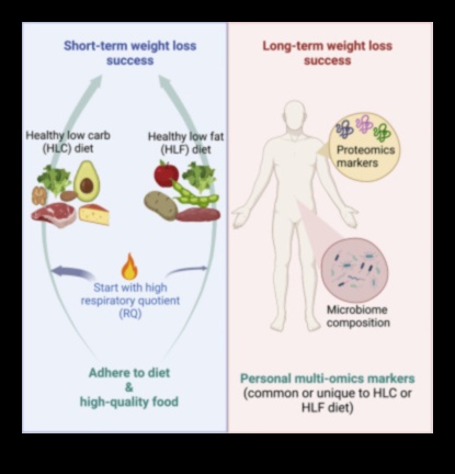 Η μακροχρόνια και η σύντομη ορμονική ισορροπία στις μακροχρόνιες δίαιτες 1 Μακροχρόνιες δίαιτες και ορμονική ισορροπία: Διαχωρίζοντας το γεγονός από τη φαντασία