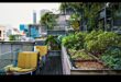 Concrete Jungle Blooms: Urban Gardening Bliss