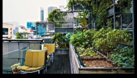 Concrete Jungle Blooms: Urban Gardening Bliss