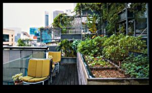 Concrete Jungle Blooms: Urban Gardening Bliss