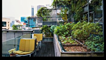 Concrete Jungle Blooms: Urban Gardening Bliss