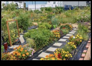 Metropolitan Green Thumb: Urban Gardening Hacks