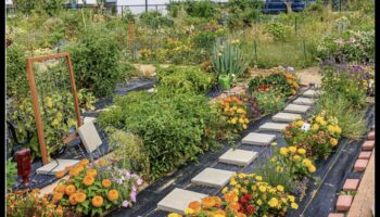 Metropolitan Green Thumb: Urban Gardening Hacks