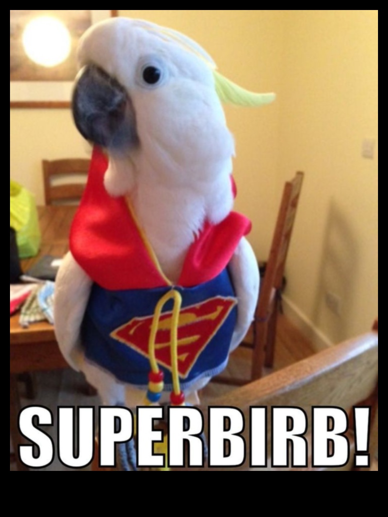 Feathered Friends Fashion: Κομψά αξεσουάρ για Pet Birds