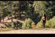 A Walk in the Park: Exploring Outdoor Adventures with Your Dog